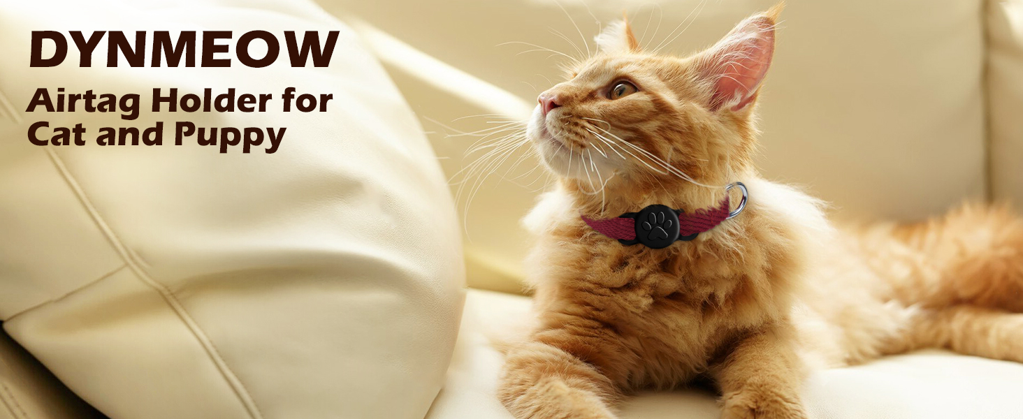 cotton dog collar compare with silicone airtag holder