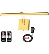 NEWREACH 16.53" Plug-in LED Picture Light with Remote, Dimmable Painting Frame Light with3000K, 9...