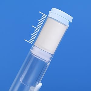 travel toothbrush with toothpaste