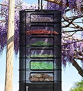 net