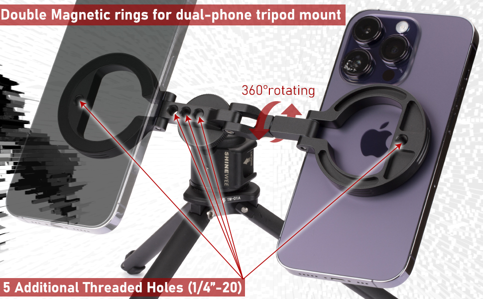 dual phone mount