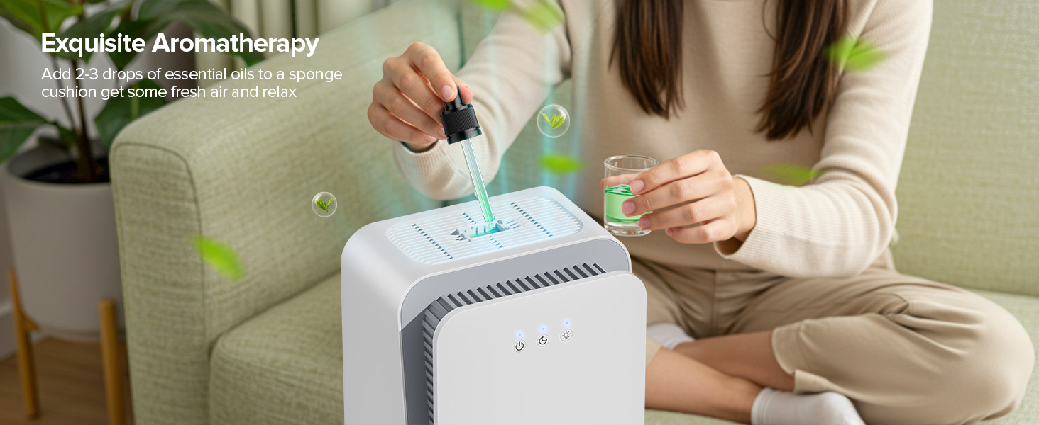 dehumidifiers
