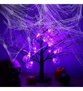 CCINEE 24Inch Lighted Black Halloween Tree, Prelit Scary Tabletop Artificial Tree with Purple Spi...