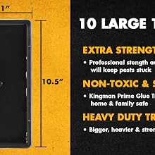 10 Large Traps