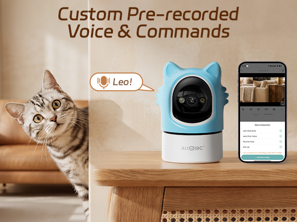 Custom Pre-recorded Voice & Commands