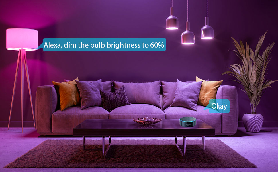 smart alexa bulb