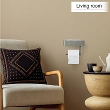 toilet paper holder with shelf