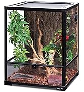 REPTI ZOO Reptile Glass Terrarium, 18" x 18" x 24" Front Opening with Double Hinge Door & Top Scr...
