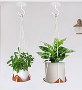 white ceilling hooks
