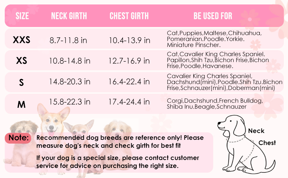 Small Dog Harness and Leash Set