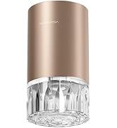 Airversa RD1 Waterless Diffuser for Essential Oil for Home, Room, Titanium | Up to 600 sq ft, Bat...