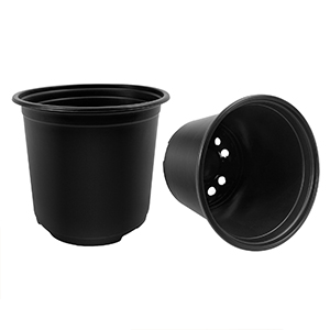 Drainage Holes