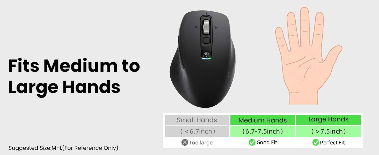 Large mouse