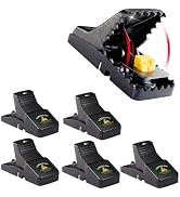 VORNVEXIS Mouse Traps Indoor for Home, Reusable Snap Traps for Mice, Easy to Set, No Touch Design...