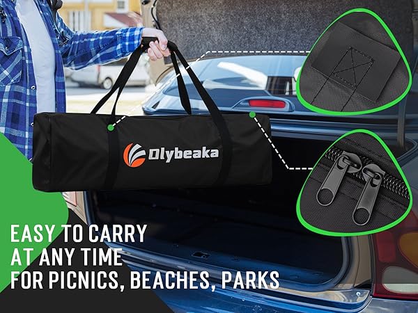 portable carry bag