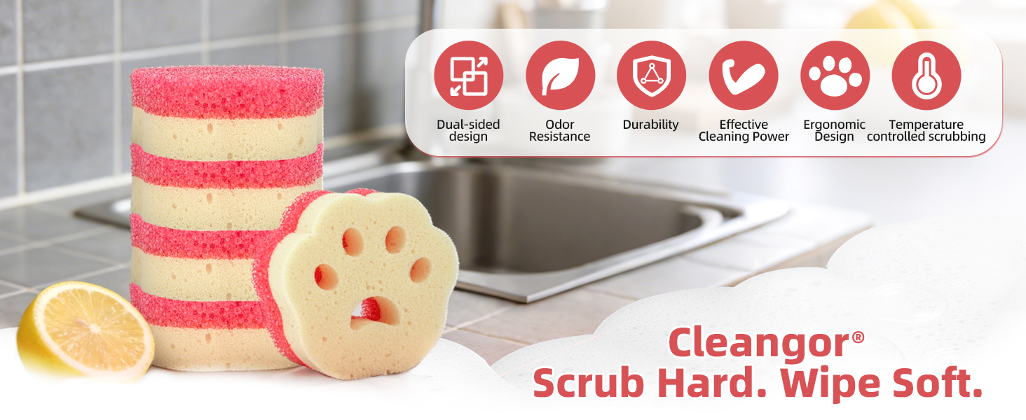 Dish Sponges