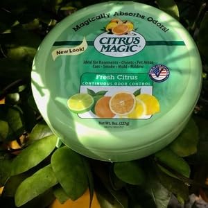 citrus magic, air freshener, solid air freshener, natural air freshener