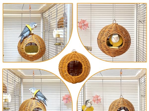 parakeet cage accessories bed
