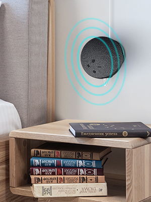 Dot 5th Generation Wall Mount