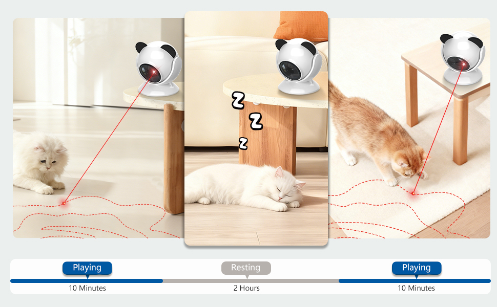 interactive cat toy