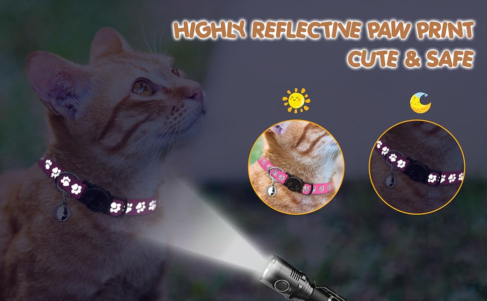 kitten collar