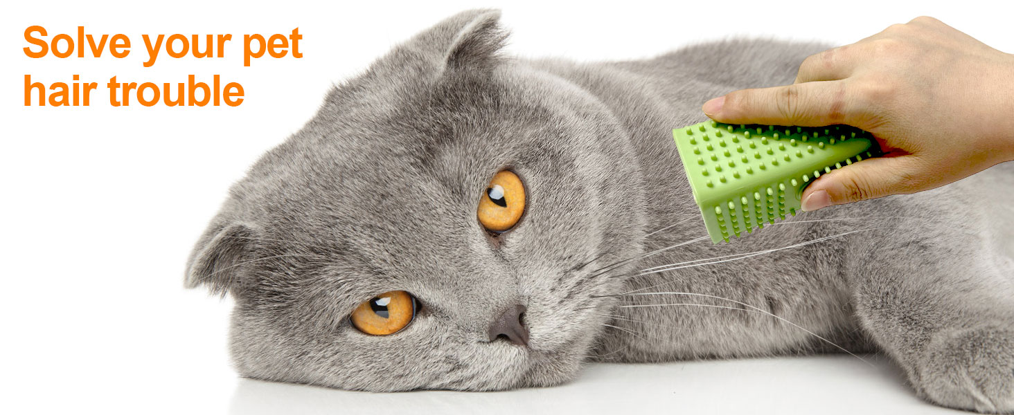 pet hair brush