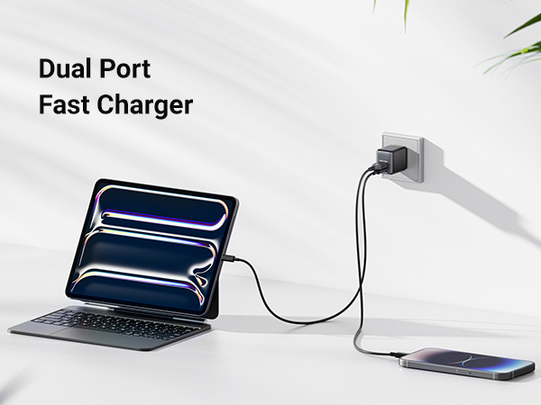 dual port fast charger