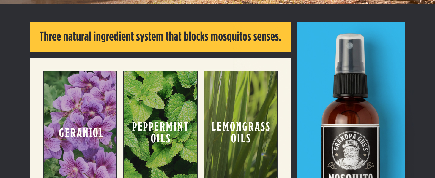 DEET-Free Plant-Based Insect Repellent for Kids and Family Up to 6 Hours Travel-Friendly Bug Spray