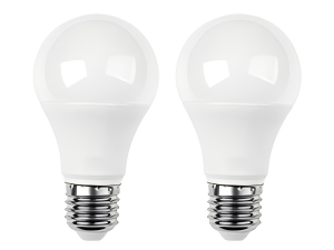 2 LED Bulbs Included