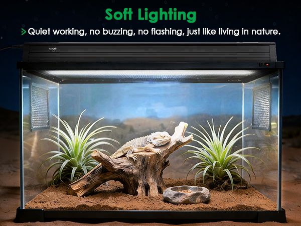 uvb light for bearded dragon