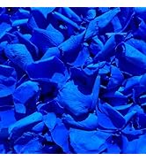 Real Dried Preserved Royal Blue Rose Petals, Natural Flowers 1.75oz for Romantic Night Wedding Va...