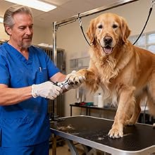 Nail care Groomer