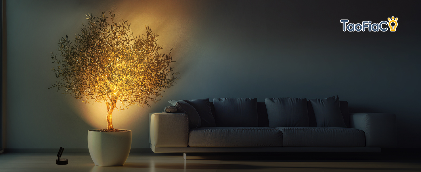 plant spotlight indoor