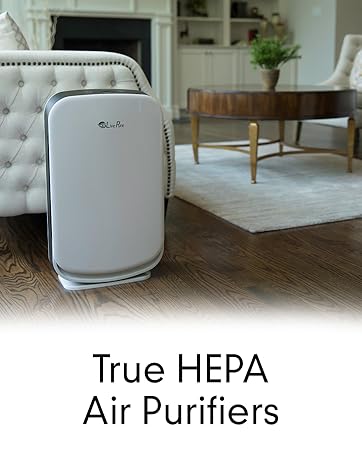 True HEPA filters, air purifier in living room