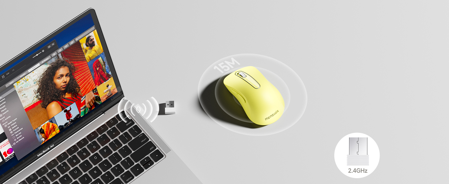 mouse