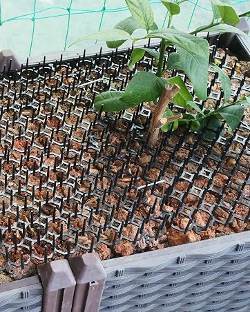 cat garden spikes