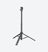 light stand