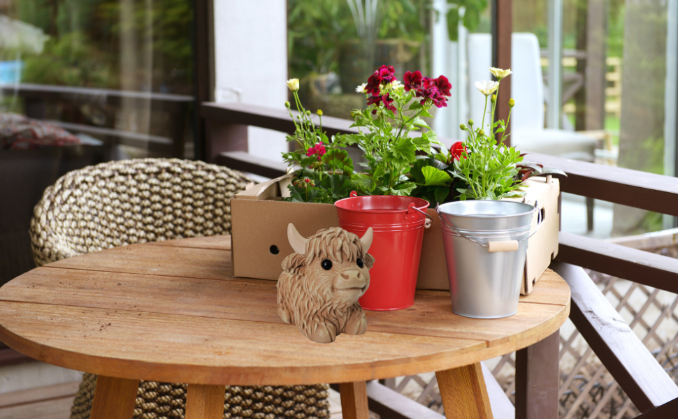 Highland cow planter B