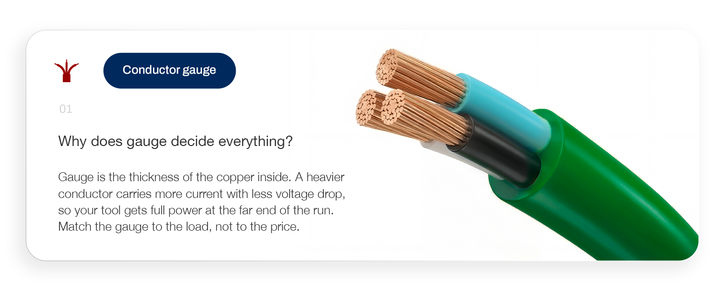CORDS