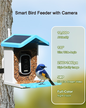 Smart Bird Feeder