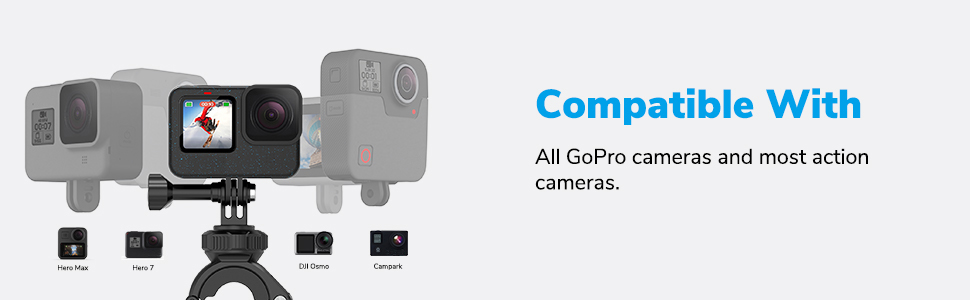 gopro pole mount
