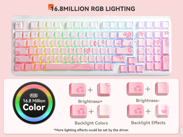 SOUTH-FACING RGB