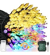 VTECHOLOGY 100 LED Dual Color Changing Battery Christmas Tree Lights ,33ft USB & Battery Operated...