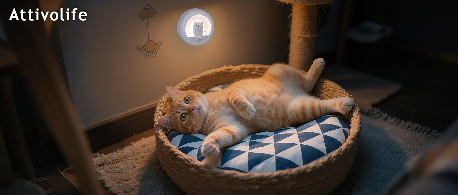 cat Night Light