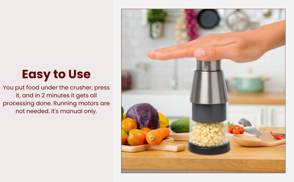 Pressed Garlic Chopper Stainless Steel