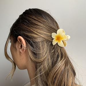 hair claw clip