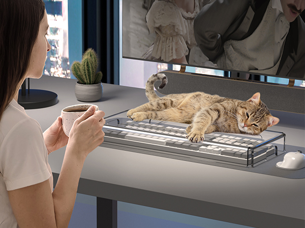computer keyboard protector cat