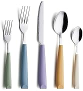 ANNOVA 20PCS Flatware Set Stainless Steel Silverware/Cutlery Set With Colored Handles Comfortable...