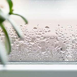 window condensation