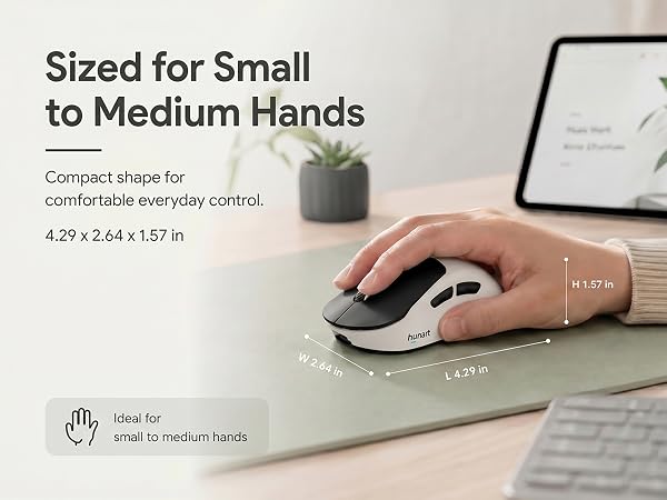 H6 Mouse